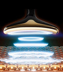 Masajeador facial rejuvenecedor con luz LED