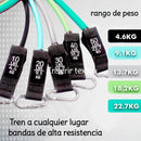 Kit De Bandas De Resistencia 11pzs